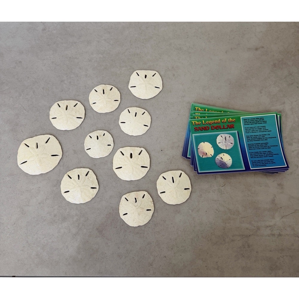 Lot Of 12 Vintage "The Legend of the Sand Dollar" Postcards And 10‎ Sand Dollars